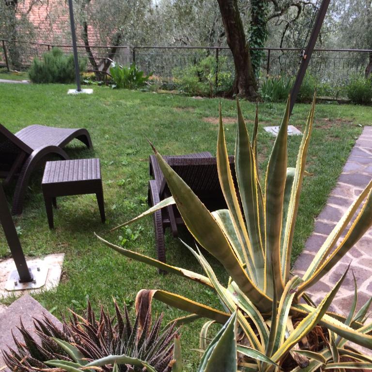 Tonini Apartments - Appartamento - 7
