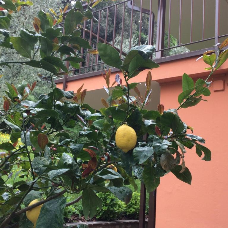 Tonini Apartments - Appartamento - 8