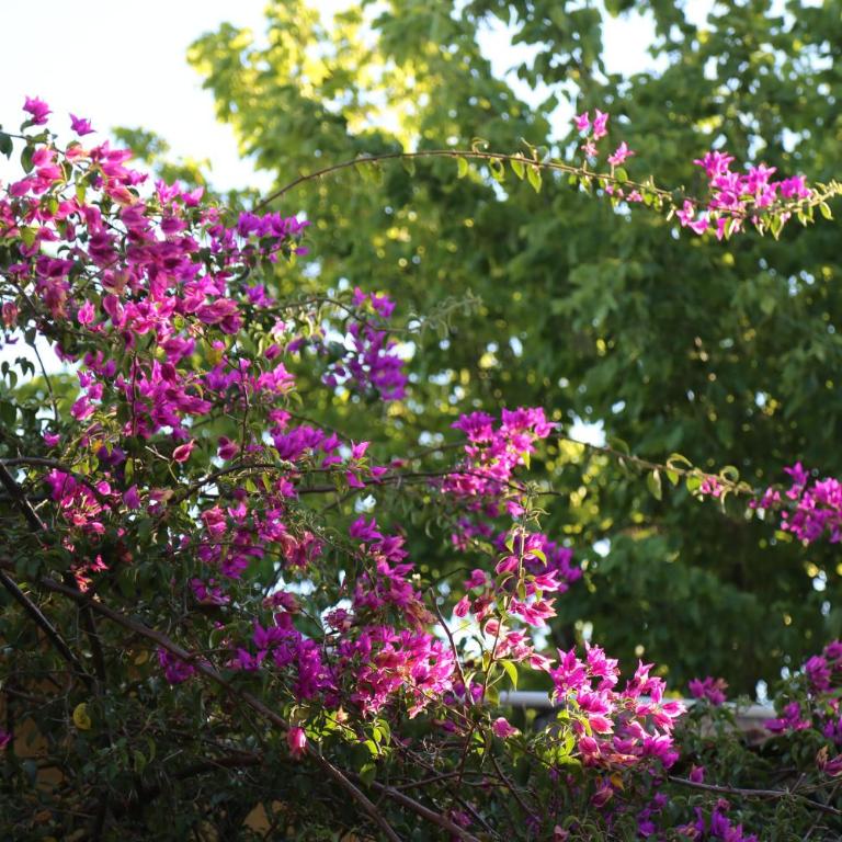 Espectacular casa - Six-Bedroom House - 14