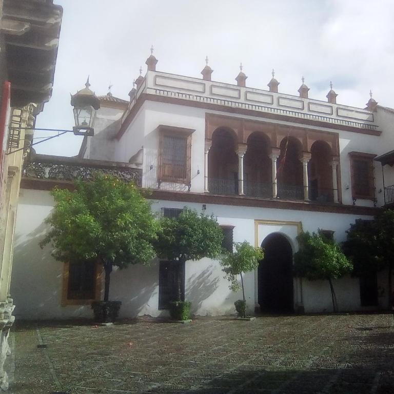 VIVIENDA SAN AGUSTÍN - Apartamento - 25