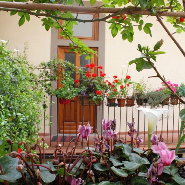 Faenza Novella - Appartamento - 2