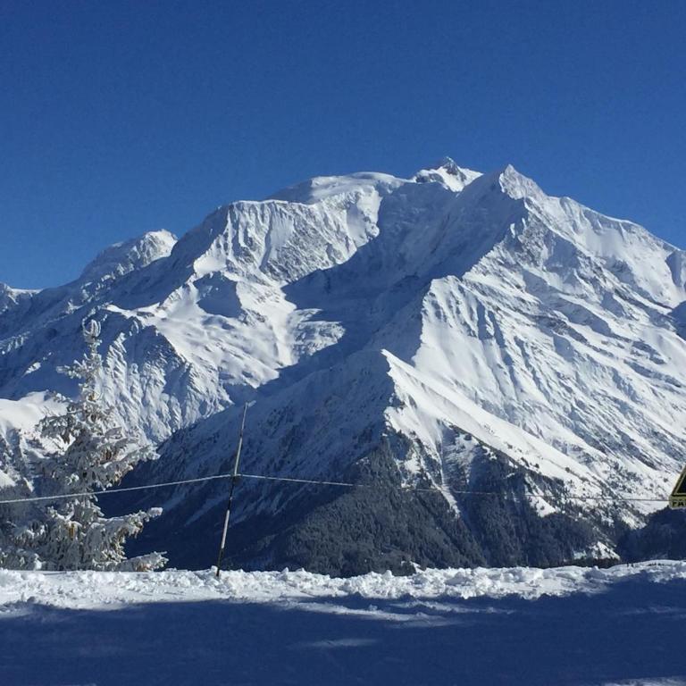 Luxury 2 Bedroom Apartment with view of Mont Blanc - Appartement avec Vue sur la Montagne - 37