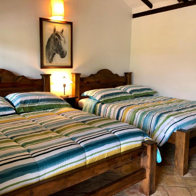 Hacienda Veracruz villa de leyva - Vacation Home - 14
