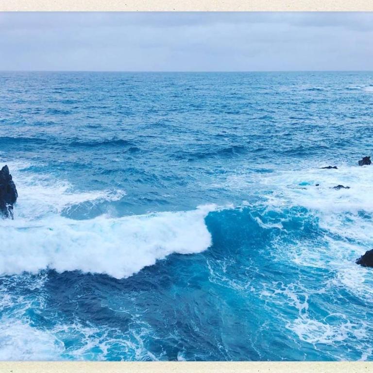 Ocean Views. Flat 3 bedrooms. - Apartamento - 19