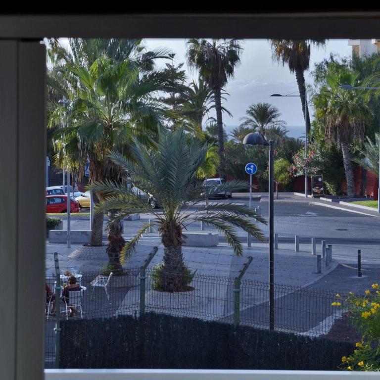 Studio In Paraiso Royal, Playa De Las Americas - Estudio - 15
