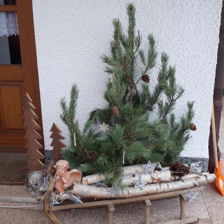 Haus Ellerbeck - Apartment mit Terrasse - 18