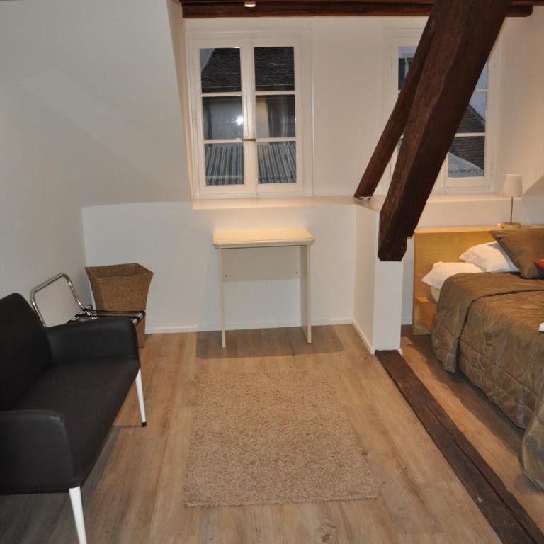 Hôtel du Raisin - Studio - 6