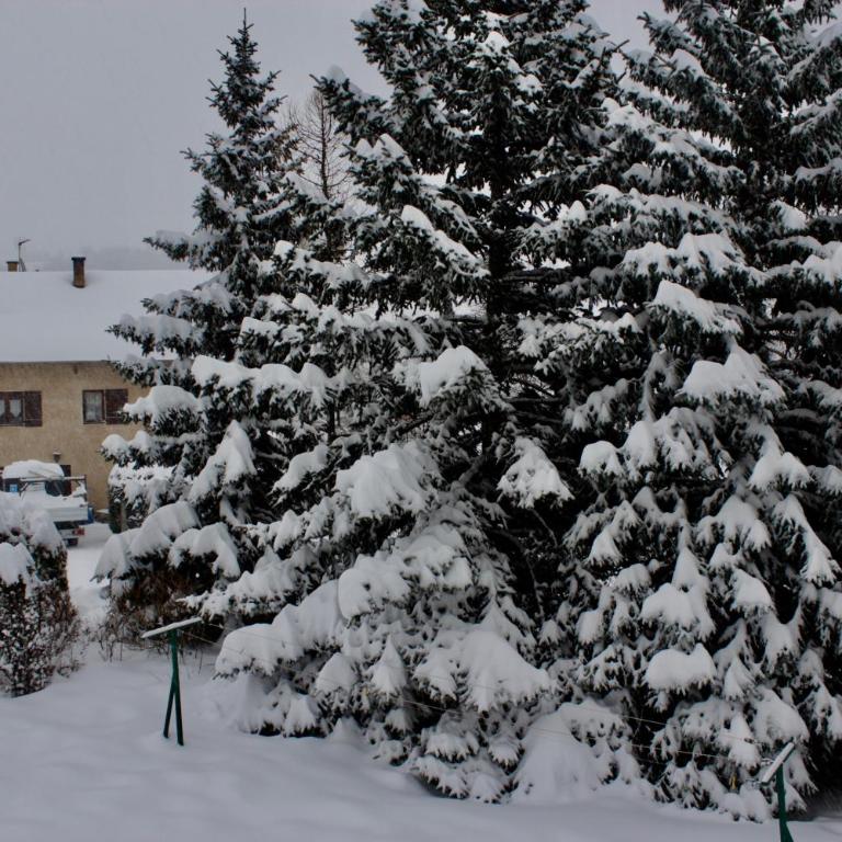 Plein Sud - Appartement avec Balcon - 88