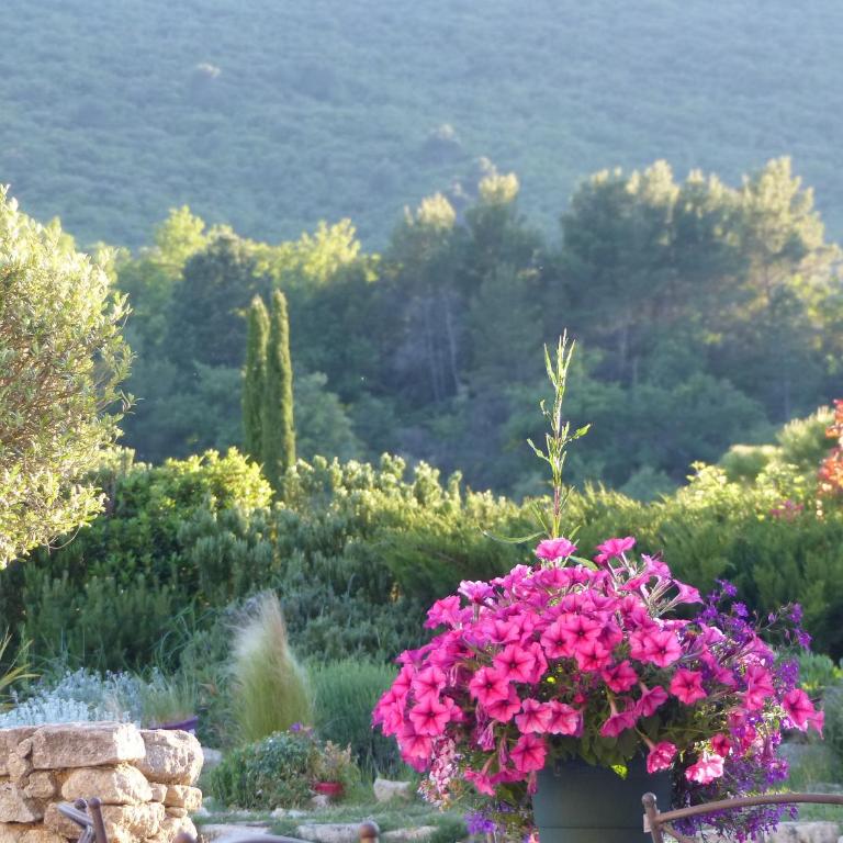 Chambre d'hôtes du Mas de Longuefeuille - Chambre Double - Vue sur Jardin - 9