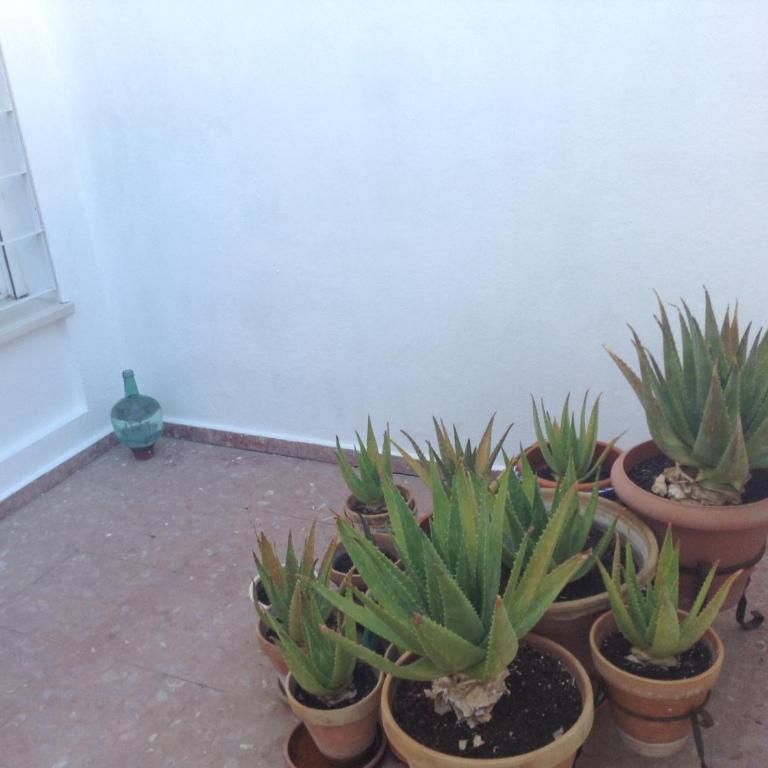 Casa Soleada Calle Tranquila Junto a FIBES - Casa - 17