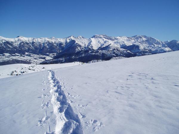 La Truelle - Appartement - 17