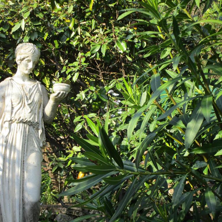 Villa Elisabeth Saint-Raphaël - Villa - 34
