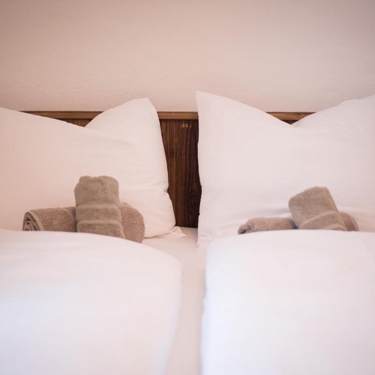 Gletscher Appartements - Appartamento con 3 Camere da Letto - 4