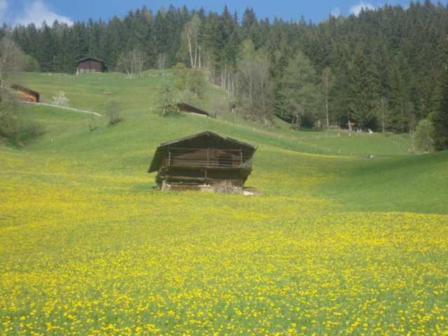Appartementhaus Eberharter - Apartment - 23