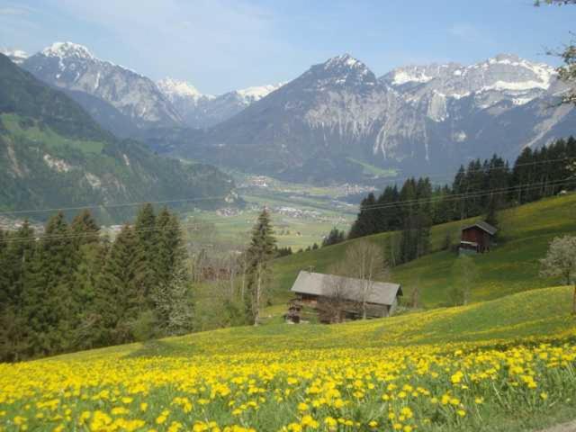 Appartementhaus Eberharter - Apartment - 25