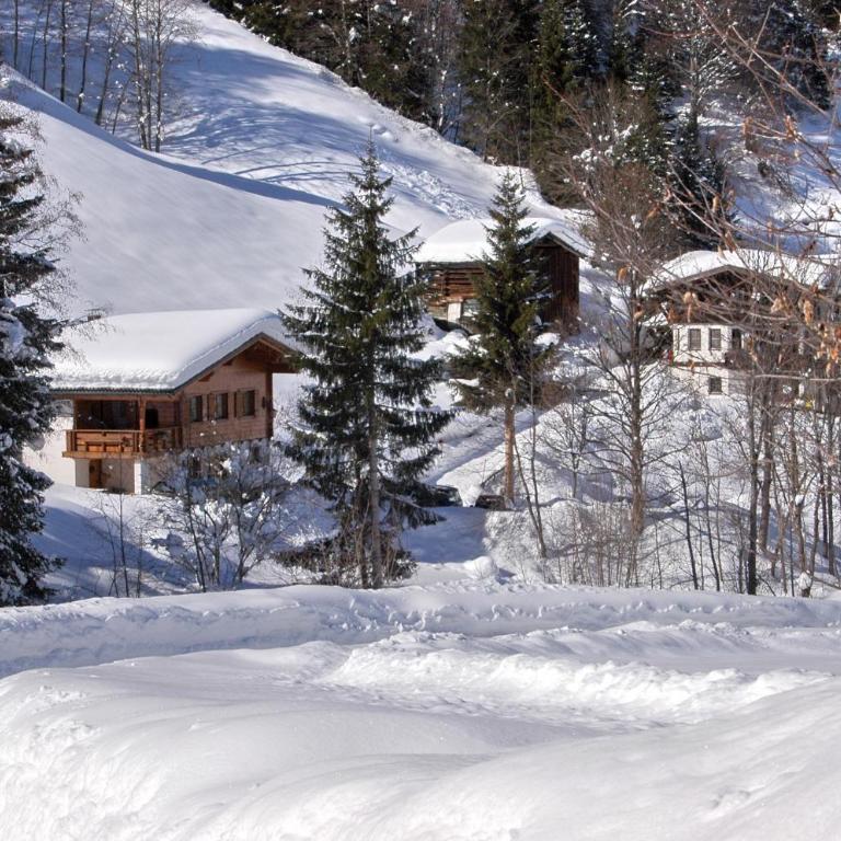 Alpenstern - Ferienhaus - 24