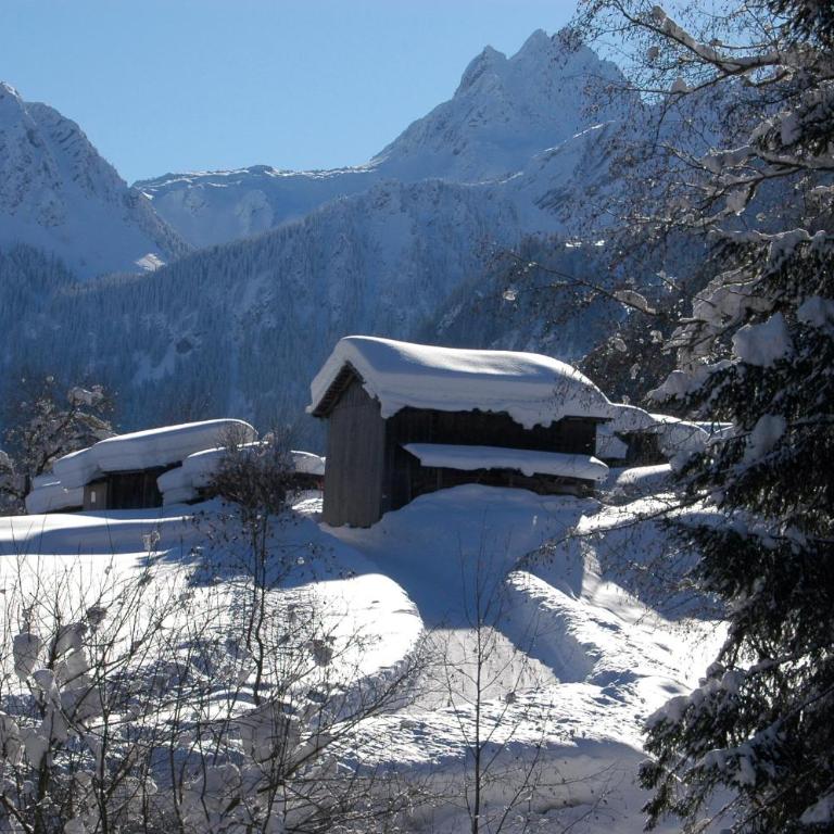 Alpenstern - Ferienhaus - 23