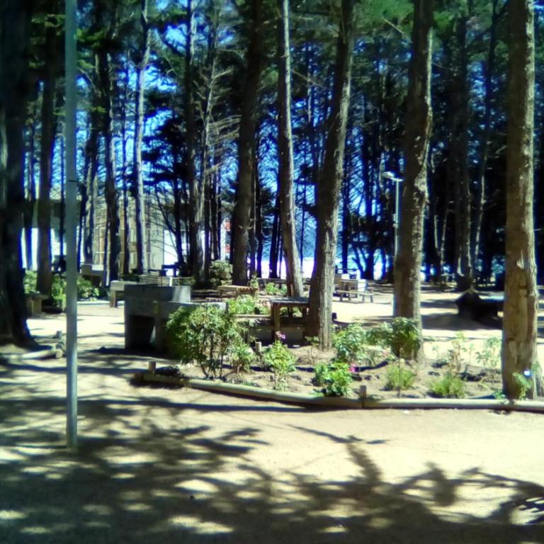 Departamento Bosques del Tabo - Two-Bedroom Apartment - 32