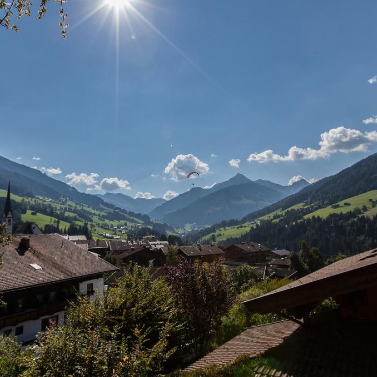 Appartement Alpina - Apartment mit 2 Schlafzimmern - 3