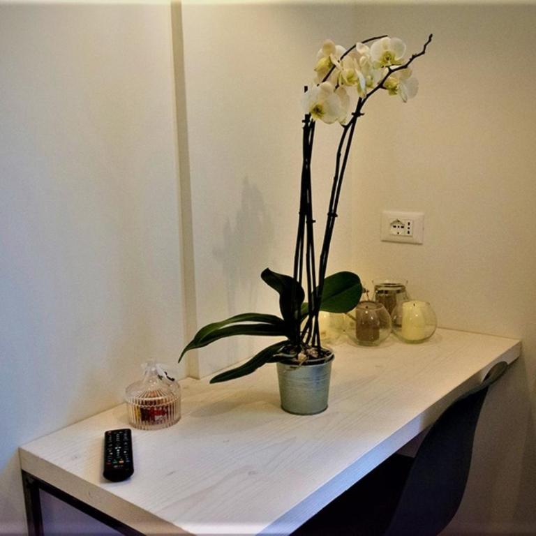 St. Peter's Luxury Rooms - Camera Matrimoniale Deluxe con Doccia - 3