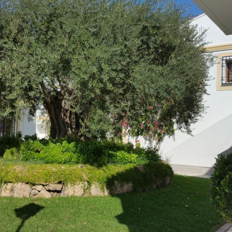 Apartamento Primera Linea de Playa Las Marinas - Apartamento con vistas al mar - 77