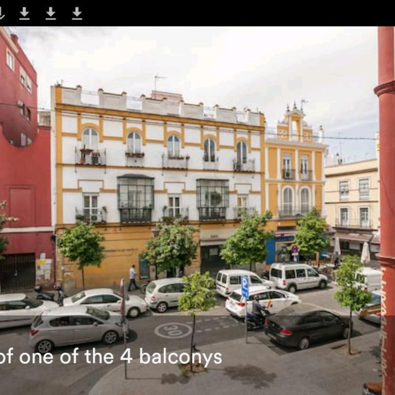 Charming luminous flat in the center of Seville - Apartamento - 6
