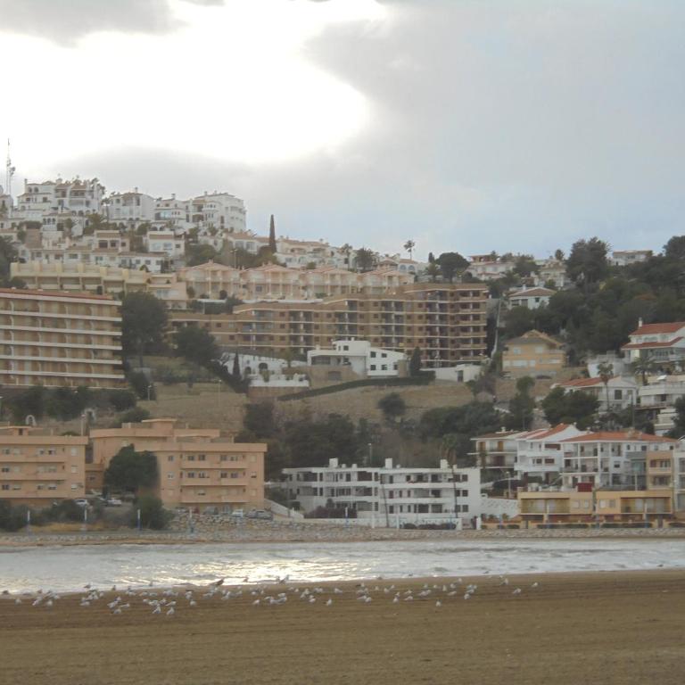 Lump 5 - Apartamento - 11