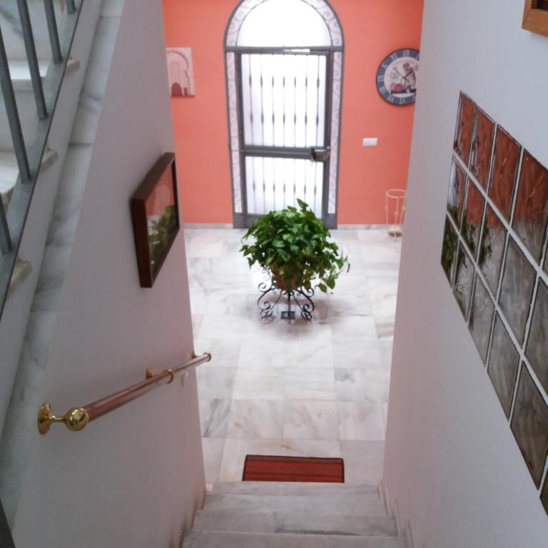 Big House Jerez - Casa - 39