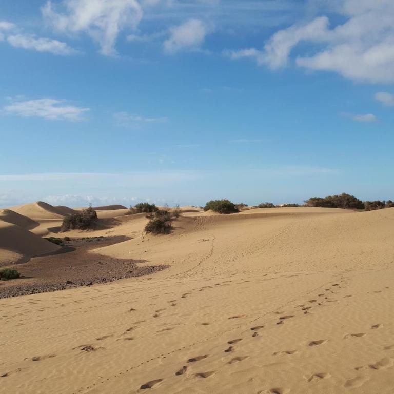 Bungalow en Maspalomas - Vacation Home - 25