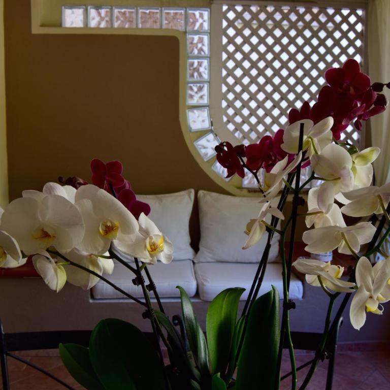 Villaggio Smeralda by Sardegna Smeralda Suite - Appartamento Superior con 1 Camera da Letto - 14