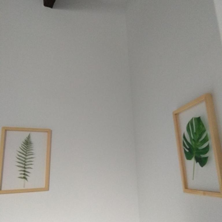 El Capricho de San Fernando, Consigna gratis y Parking a 200mts - Apartamento - 34