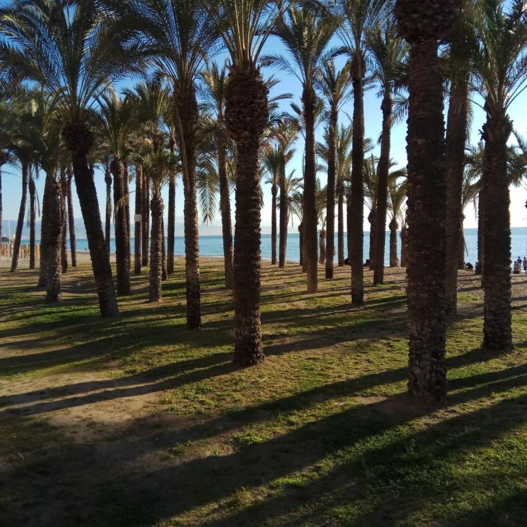 Cozy Loft Torremolinos - Loft - 22