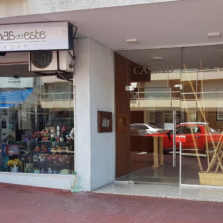 DEPARTAMENTO CENTRO PENÍNSULA - Apartment - 1