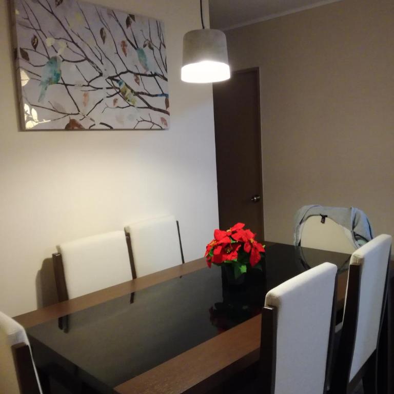 Condominio Reino de Italia, Serena - Apartamento - 17