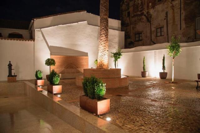 Casa Palacio Muñoz Chaves - Apartment - 1
