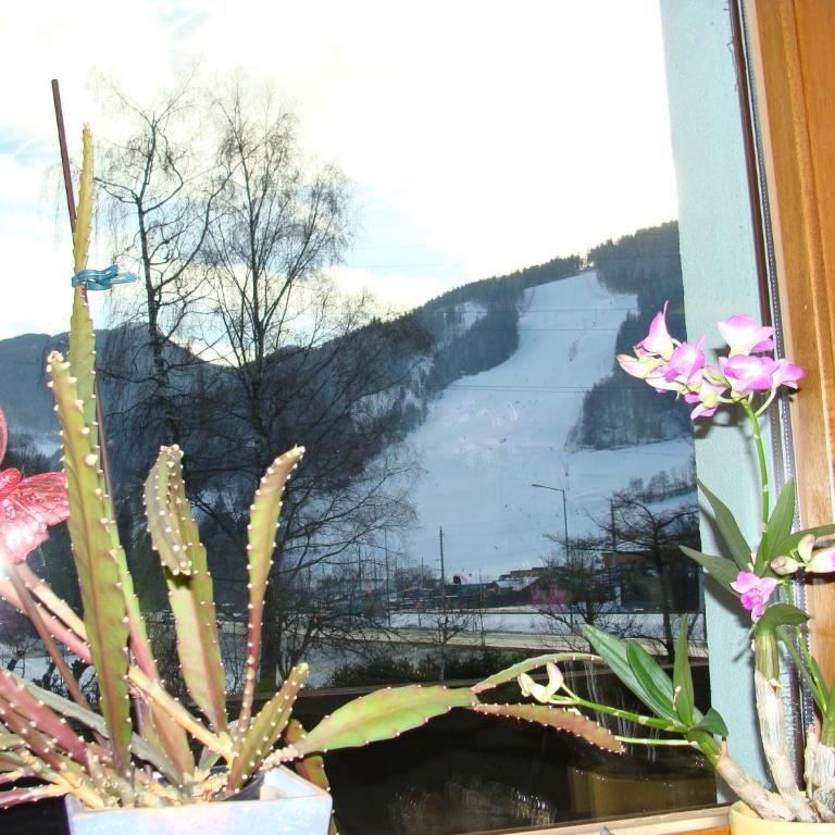 Appartement-Reiteralm - Apartment mit 4 Schlafzimmern - 24