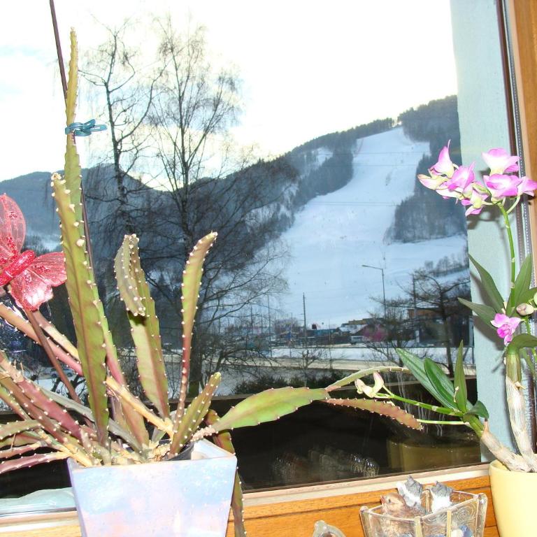 Appartement-Reiteralm - Apartment mit 4 Schlafzimmern - 38