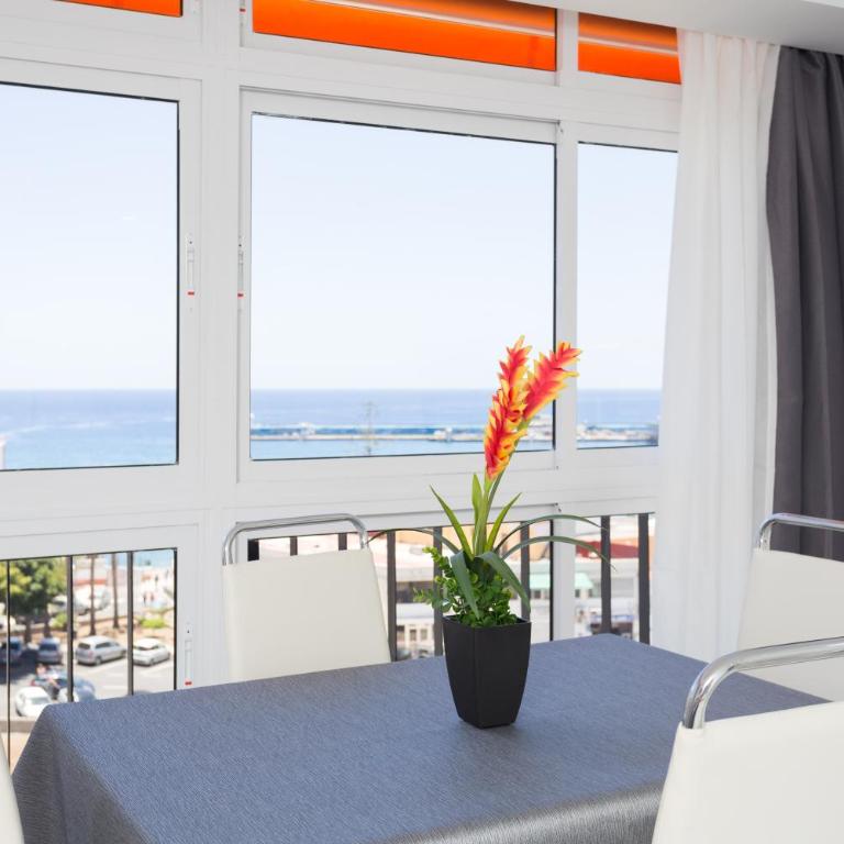 63 Los Cristianos first sea line, Wi Fi - Apartamento - 6