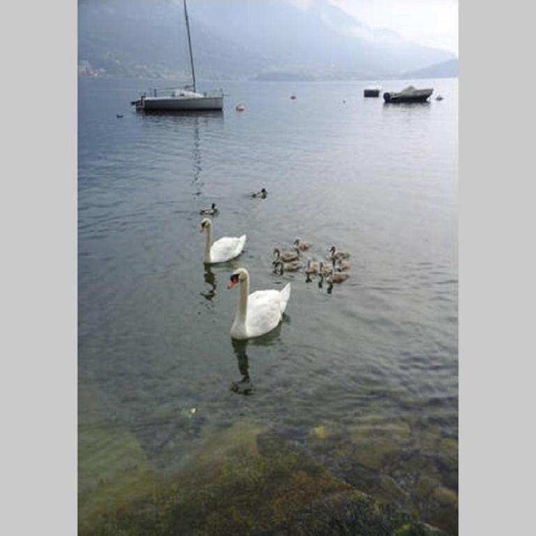 Appartamento vista Lago - Mary - Appartamento - 36