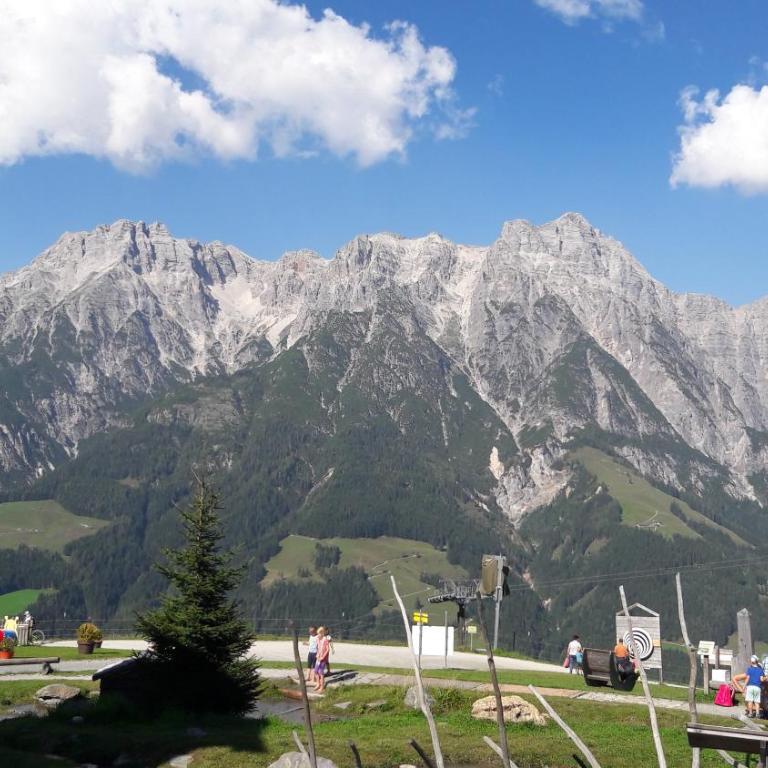 Apartment Millauer - Apartment mit Blick auf die Berge - 26