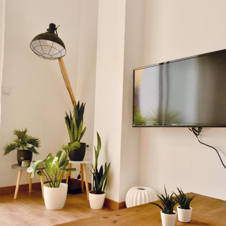 Hola Valencia - Holiday Apartments - Apartment with Terrace - 4