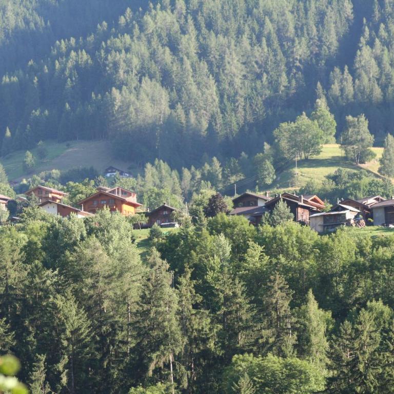 BnB Claudy et Elizabeth Michellod-Dutheil - Einzelzimmer mit Gemeinschaftsbad - 7
