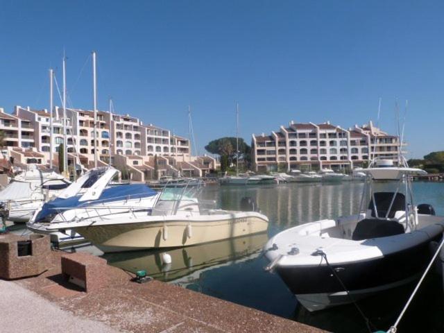 Home cascadelle 3 avec vue sur la Marina - Apartamento - 10
