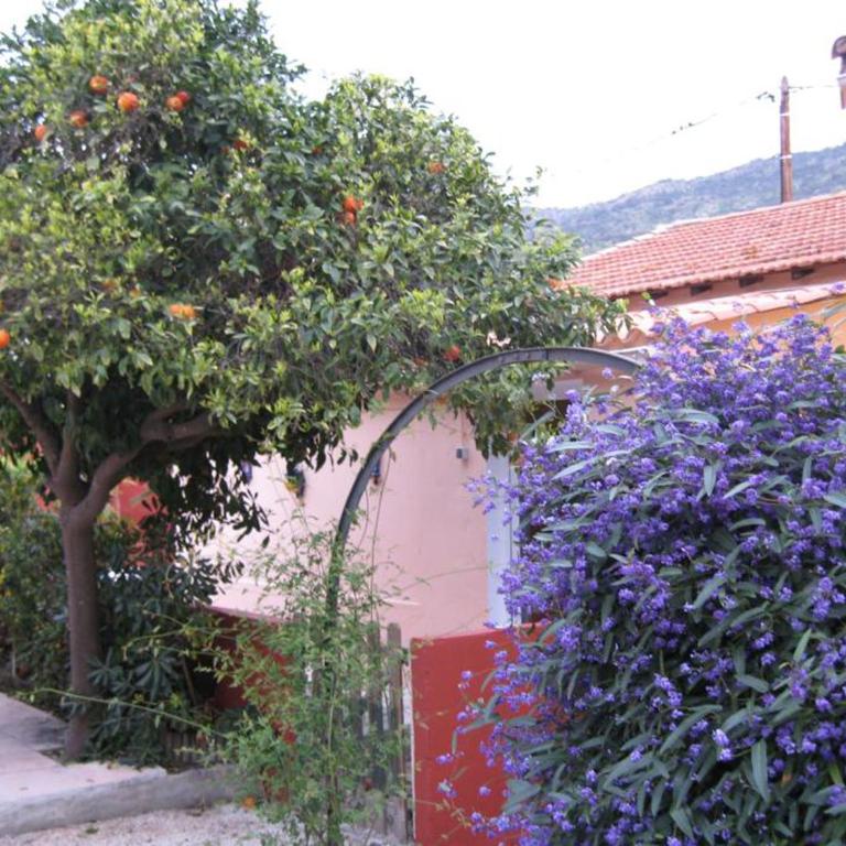 Plage de Saint Clair à 50m - Apartamento - 19