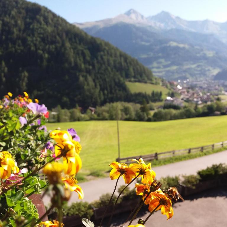 Gästeheim Pötscher - Comfort Apartment mit 2 Schlafzimmern und Balkon - 2