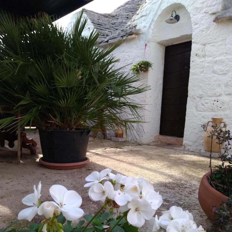 Trulli la casa di Rosa - Camera Matrimoniale - 19