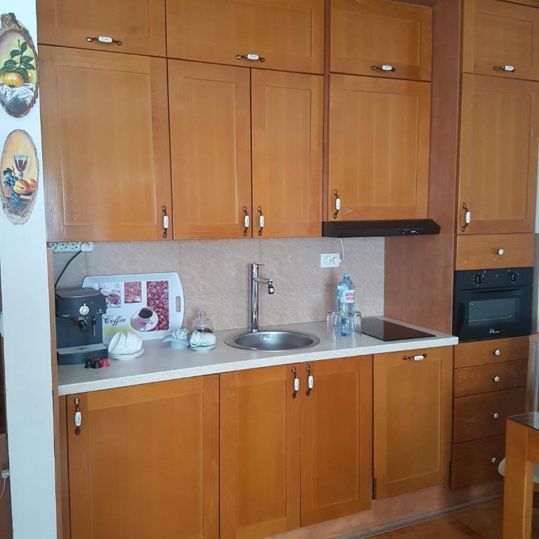 Apartment Joksimovic - Apartman sa Pogledom na Vrt - 11