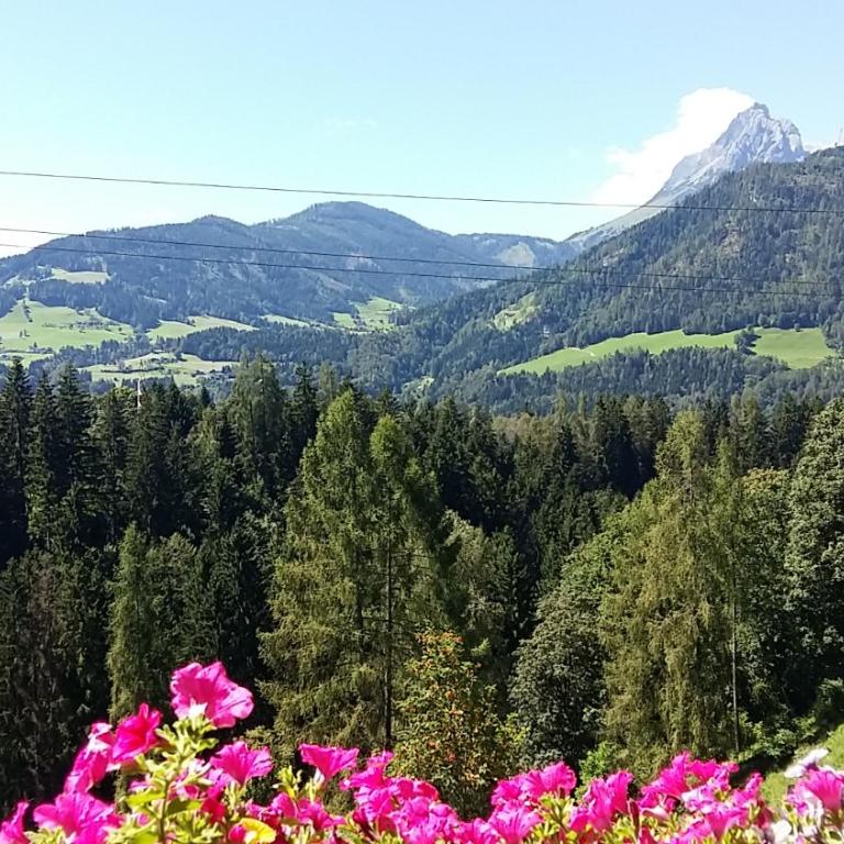 Ferienwohnungen Wimmer - Appartement avec Vue sur la Montagne - 18