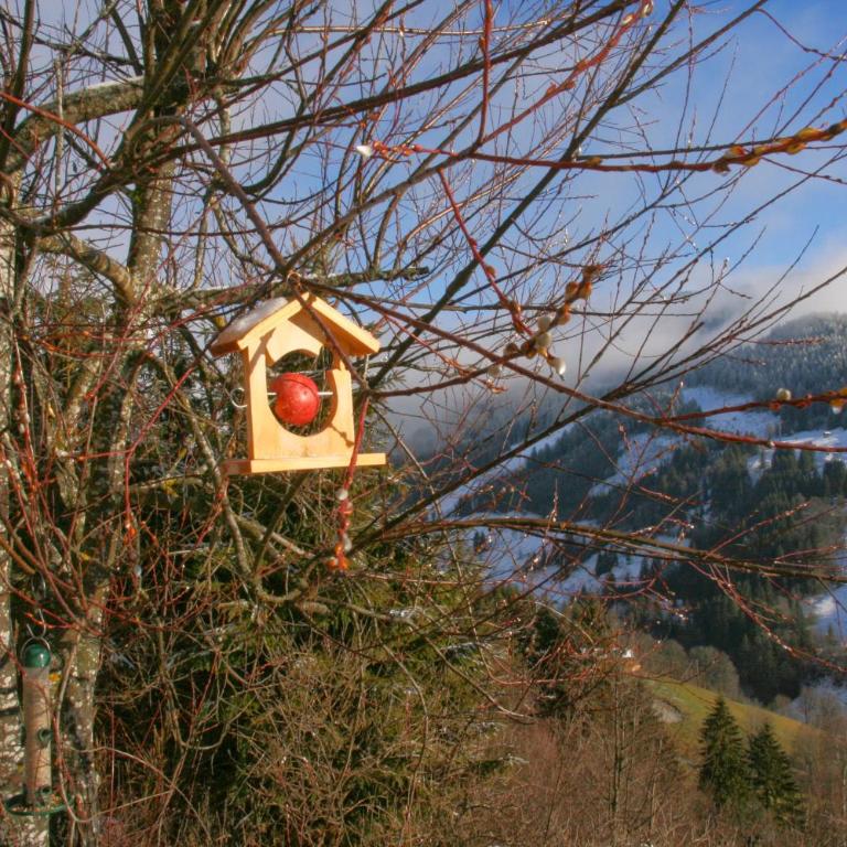 Ferienwohnung Klappacher - Apartment mit 2 Schlafzimmern und Dusche - 12