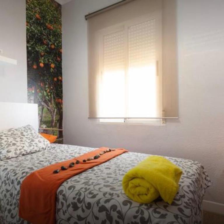 Apartamento Toreros Center Wifi - Apartamento - 19